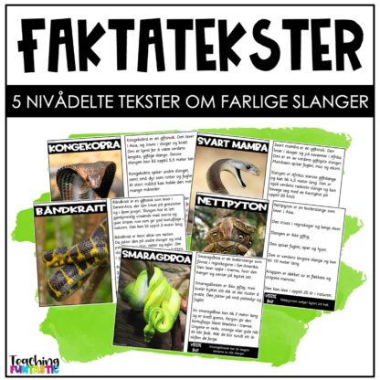 Faktatekst slanger