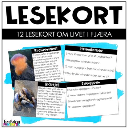 Lesekort livet i fjæra