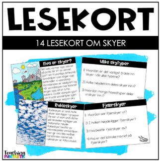 fakta skyer