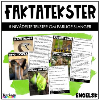 nivådelte lesetekster slanger engelsk