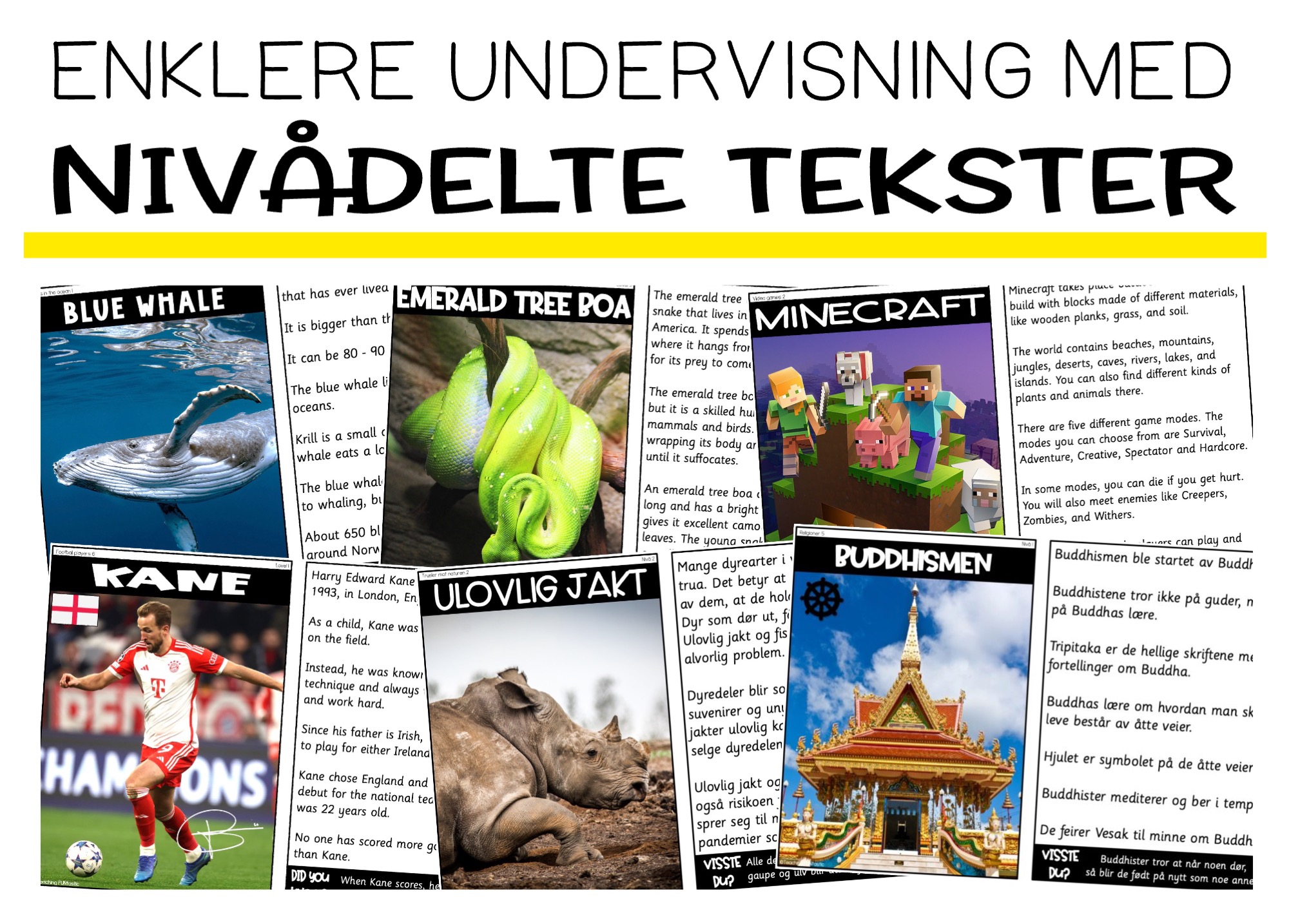 nivådelte lesetekster
