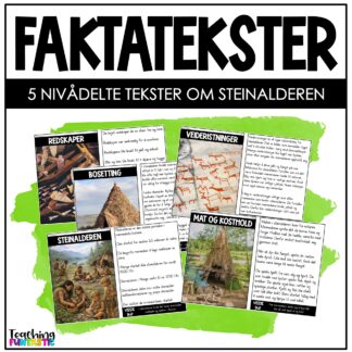Nivådelte lesetekster - Faktatekster om Steinalderen