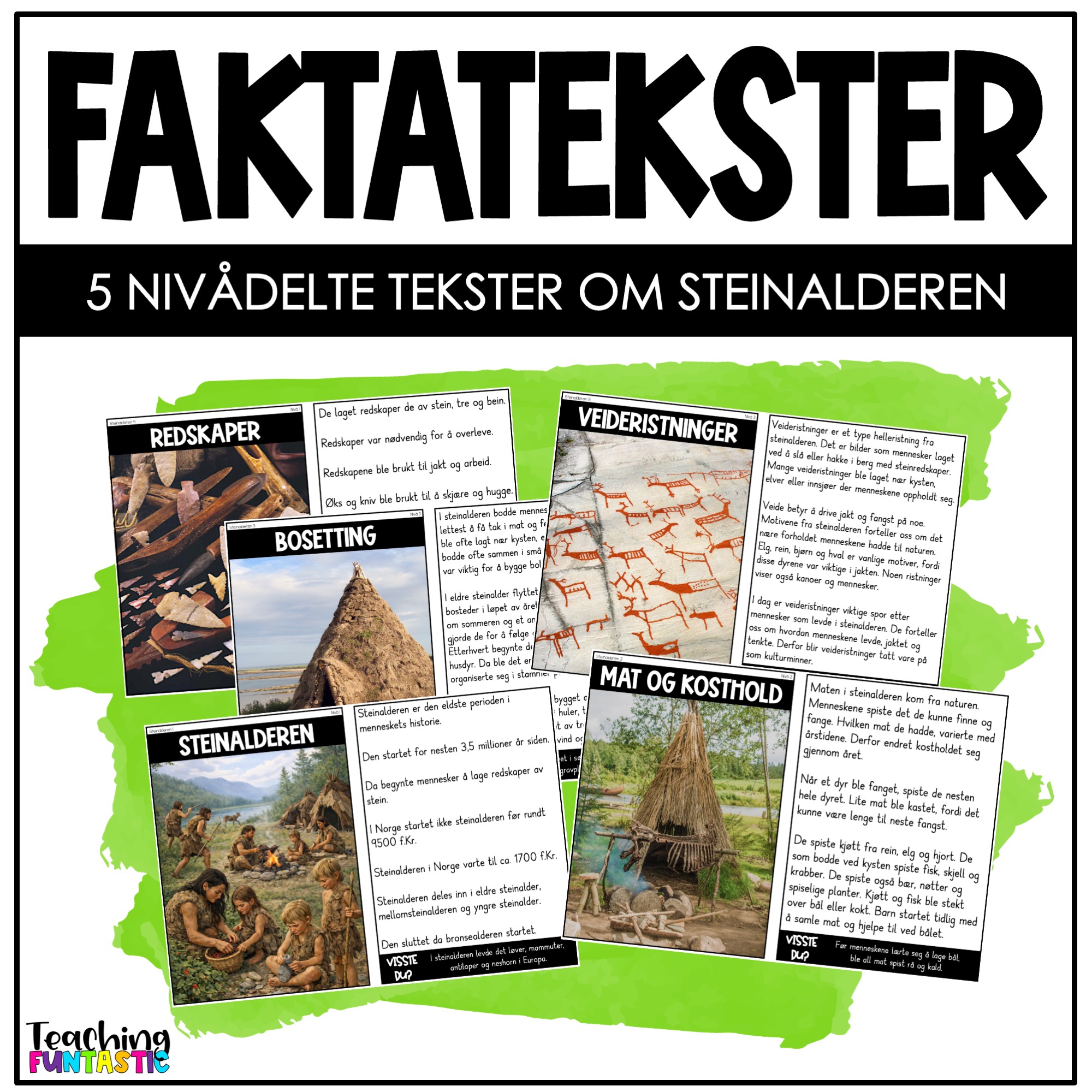 Nivådelte lesetekster - Faktatekster om Steinalderen