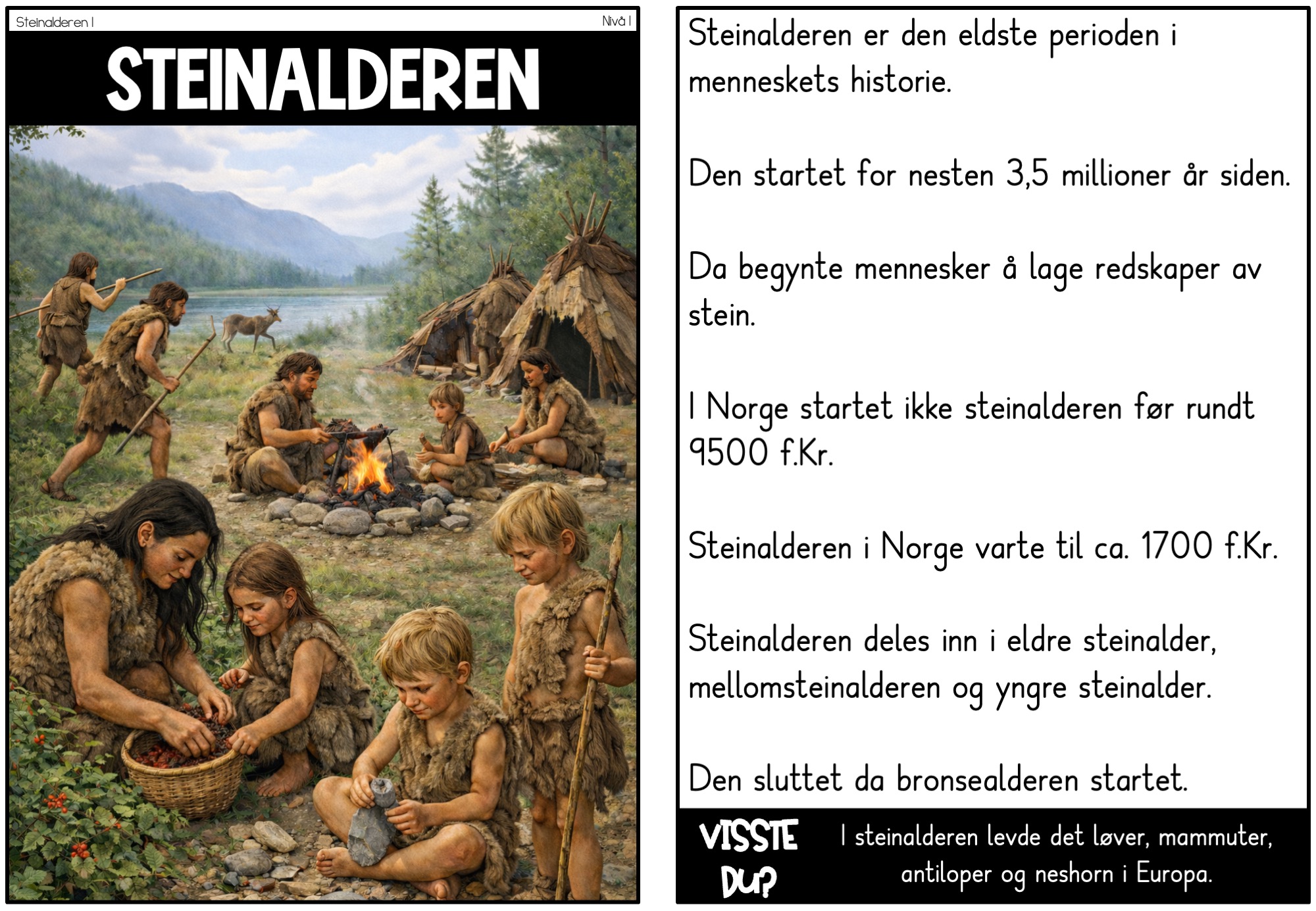 Faktatekster Steinalderen