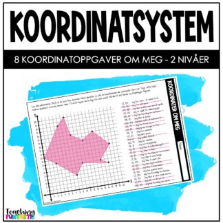 koordinatsystem