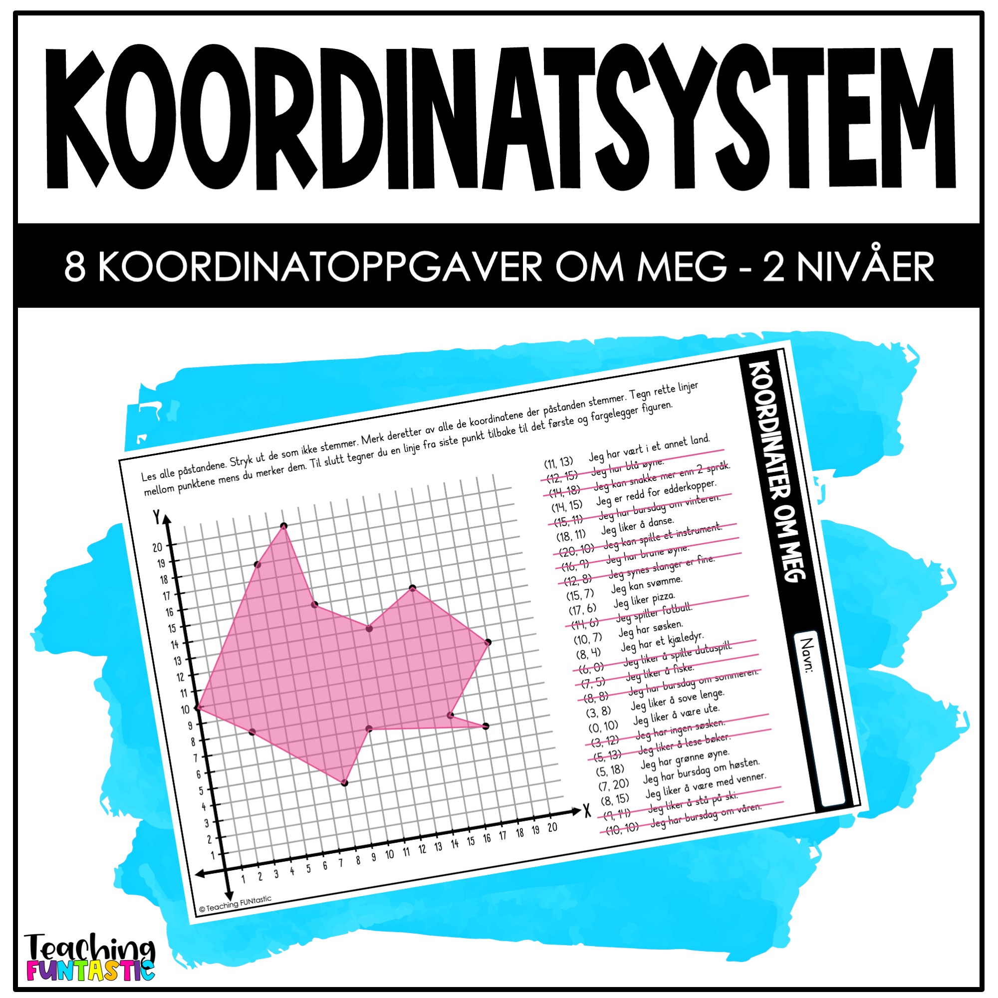 koordinatsystem